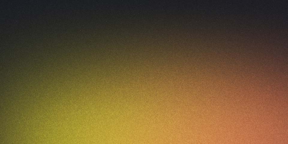 Cables neatly organised in a small network cabinet.